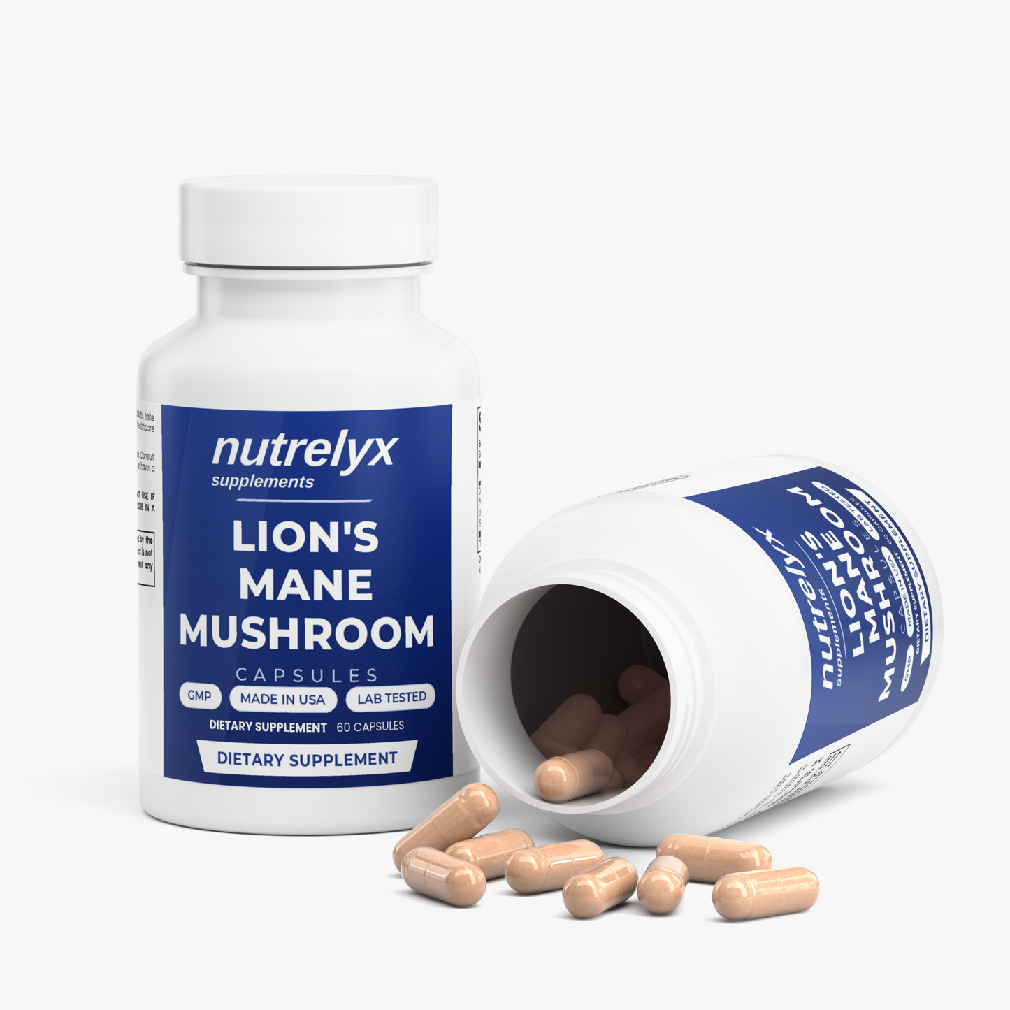Lion's Mane Mushroom