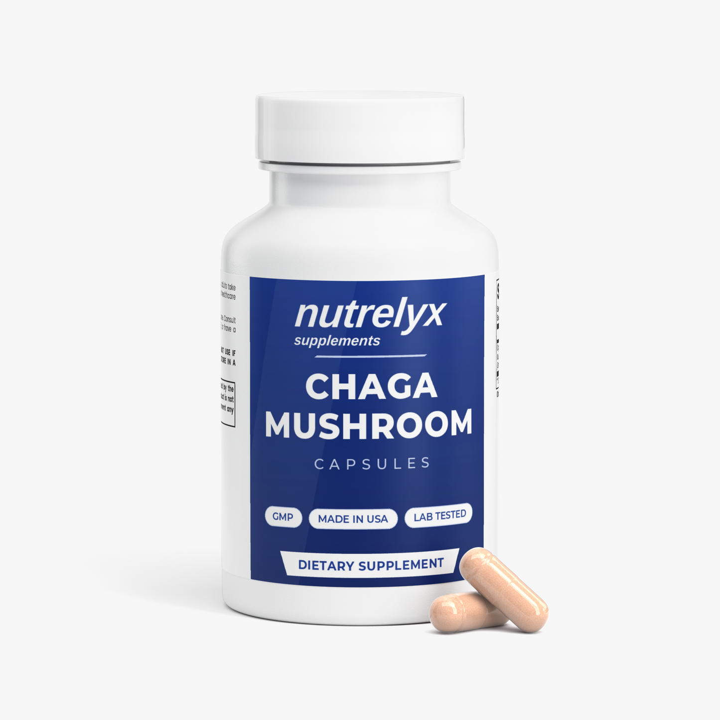 Chaga Mushroom