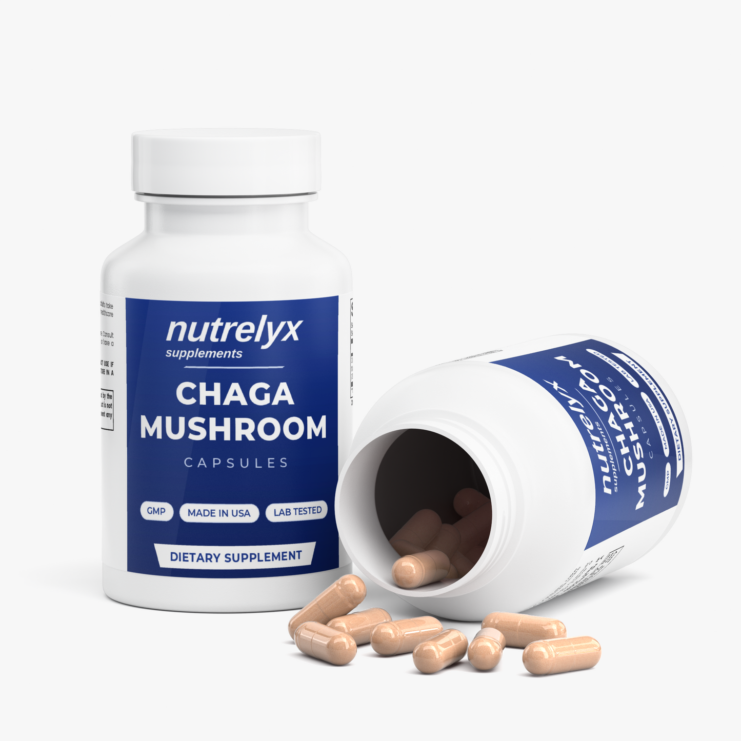 Chaga Mushroom